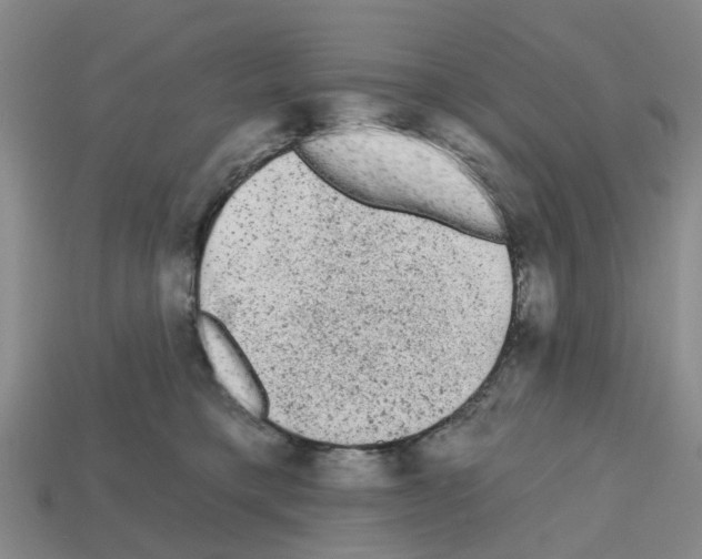 X0000112800421200910021124