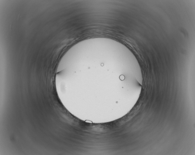 X0000112800423200910021124