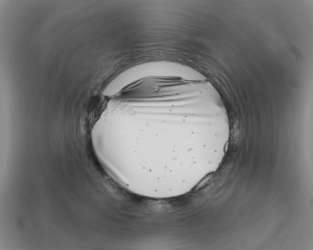 X0000112800424200910021124