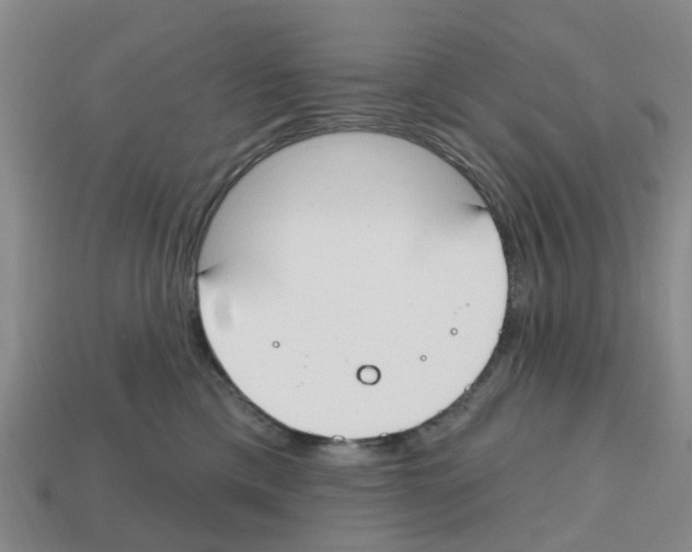 X0000112800425200910021124