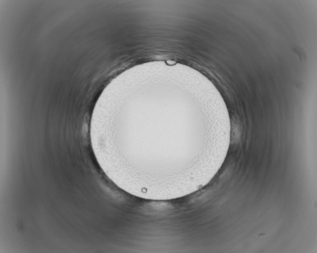 X0000112800427200910021124
