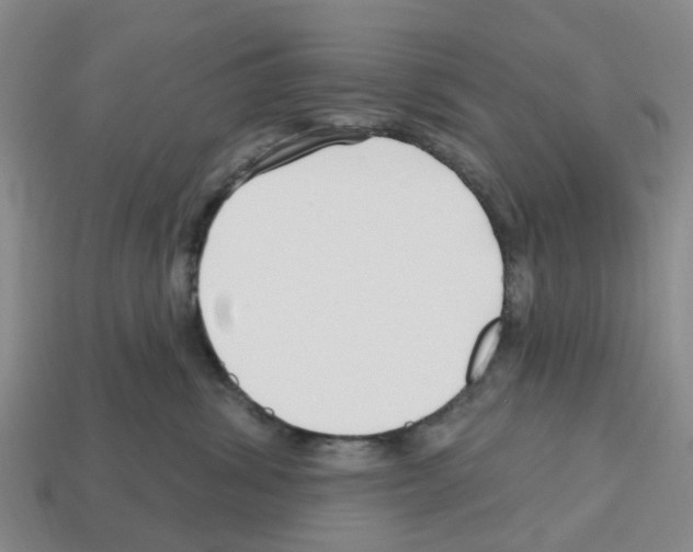 X0000112800428200910021124