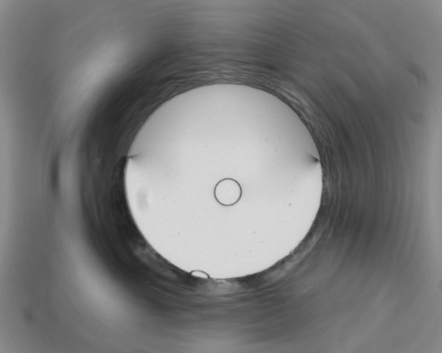 X0000112800429200910021124