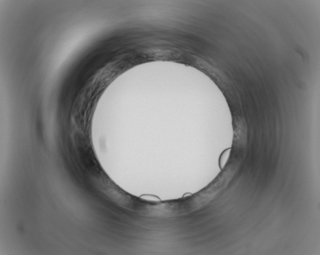 X0000112800430200910021124