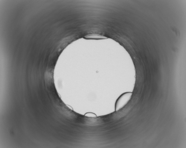 X0000112800432200910021124