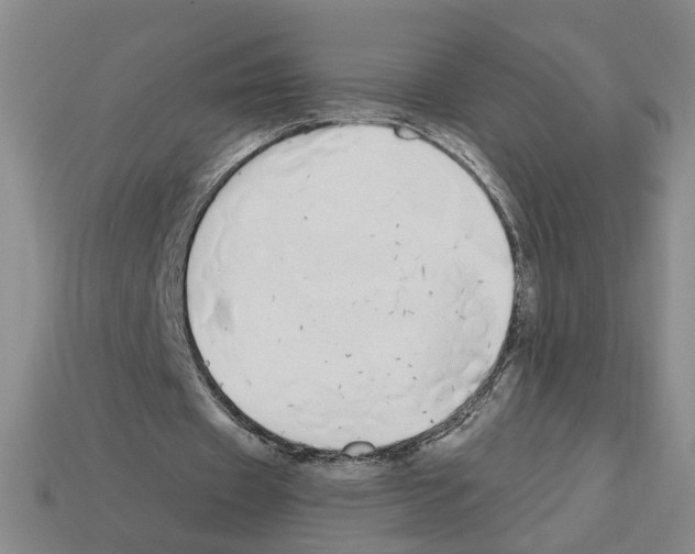 X0000112800433200910021123