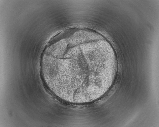 X0000112800434200910021123