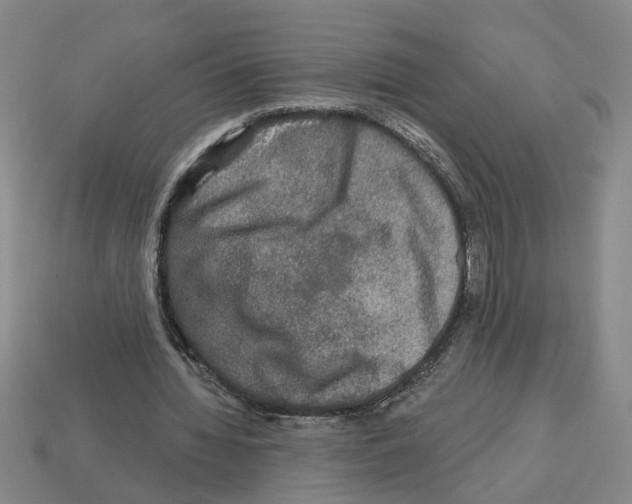 X0000112800436200910021123
