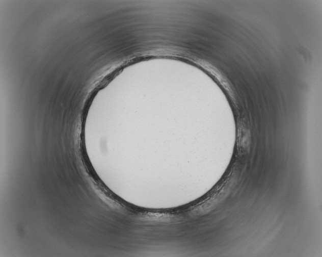 X0000112800437200910021123