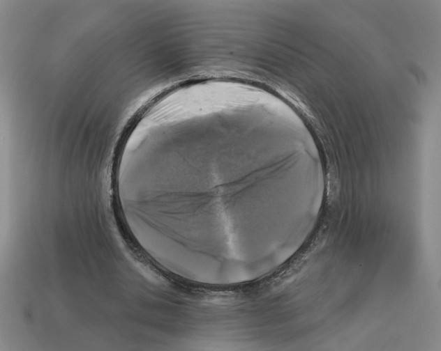 X0000112800438200910021123