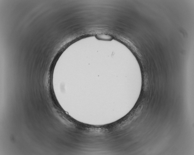 X0000112800439200910021123