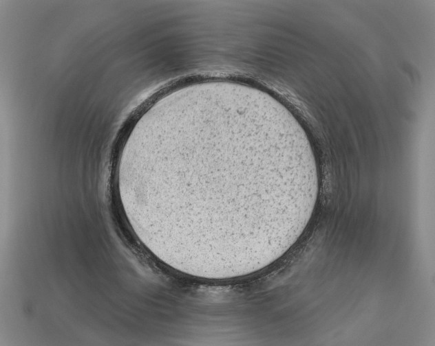 X0000112800440200910021123