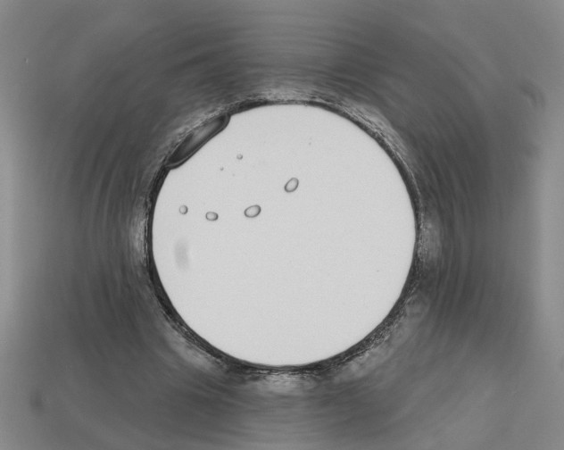X0000112800441200910021123