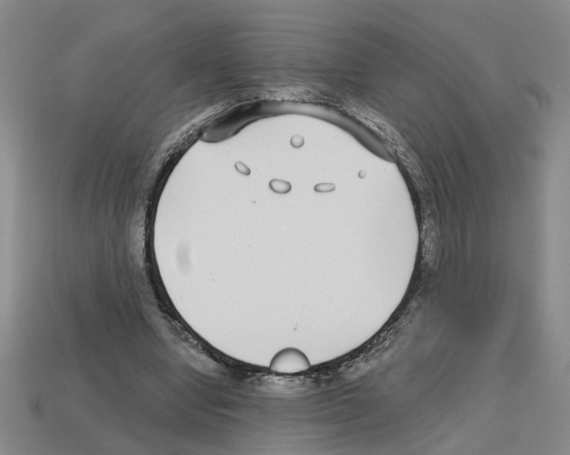 X0000112800442200910021123