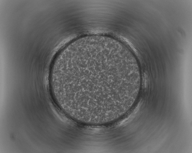 X0000112800443200910021123