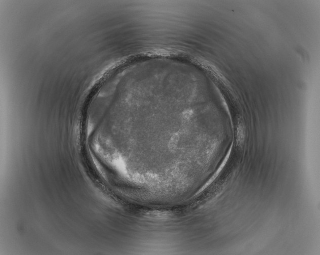 X0000112800444200910021123