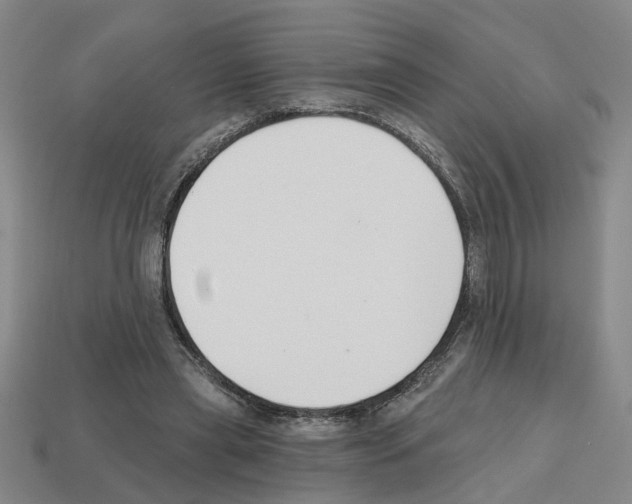 X0000112800445200910021123