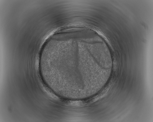 X0000112800446200910021123