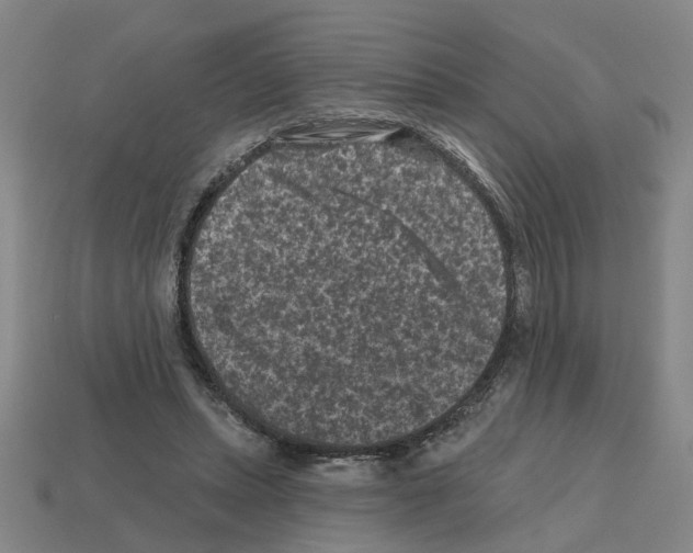 X0000112800447200910021123