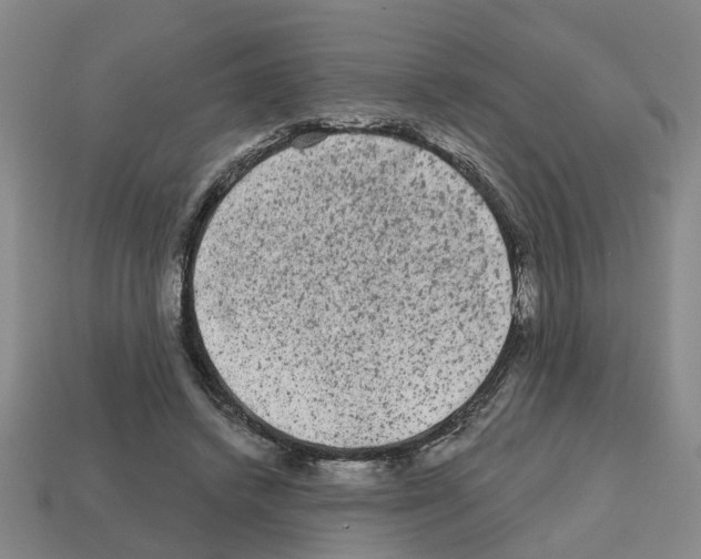 X0000112800448200910021123