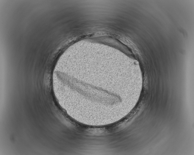 X0000112800449200910021123