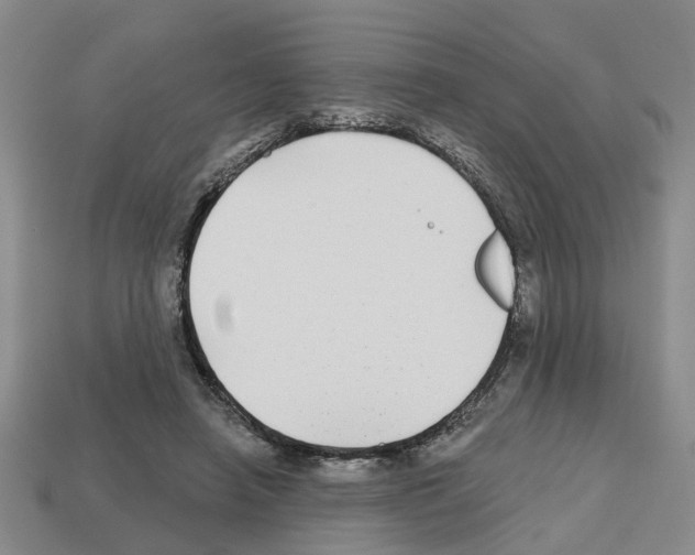 X0000112800450200910021123