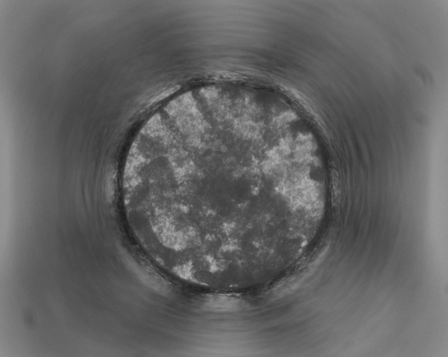X0000112800451200910021123