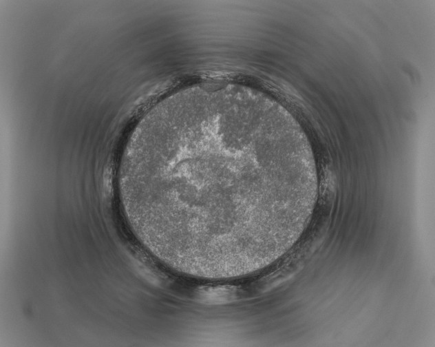 X0000112800452200910021123