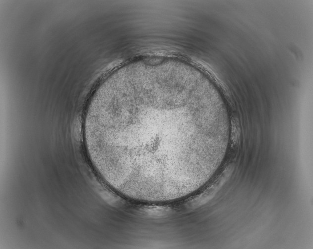 X0000112800453200910021123