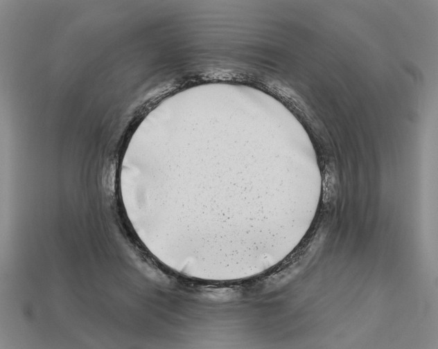 X0000112800454200910021123