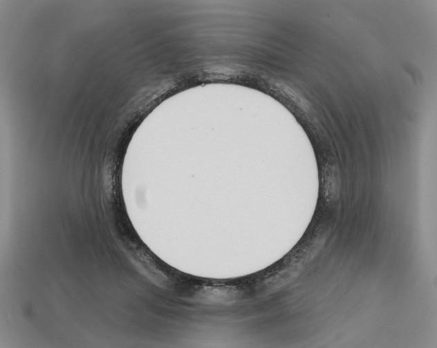 X0000112800455200910021123