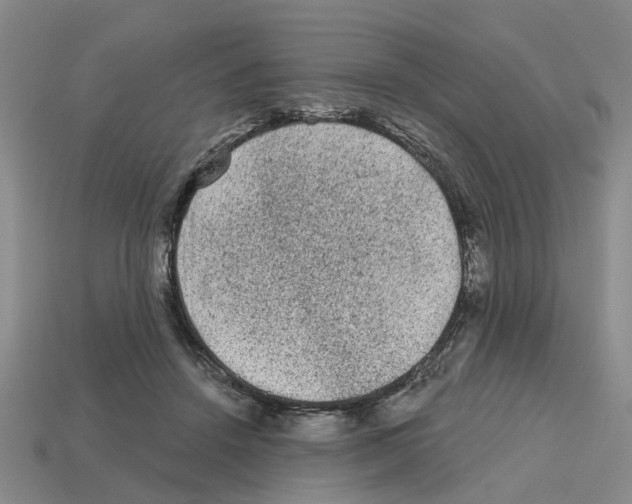 X0000112800456200910021123