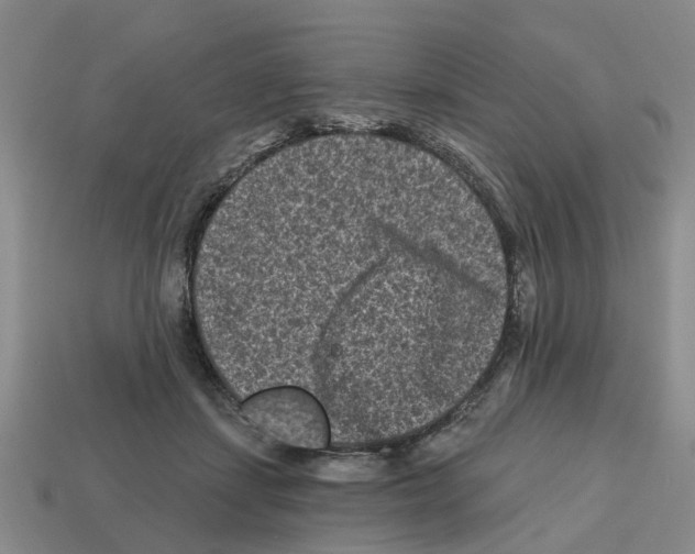 X0000112800459200910021123