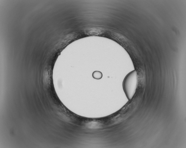 X0000112800460200910021123
