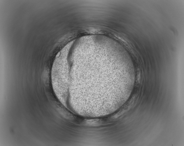 X0000112800461200910021123