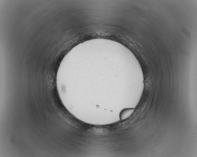 X0000112800464200910021123