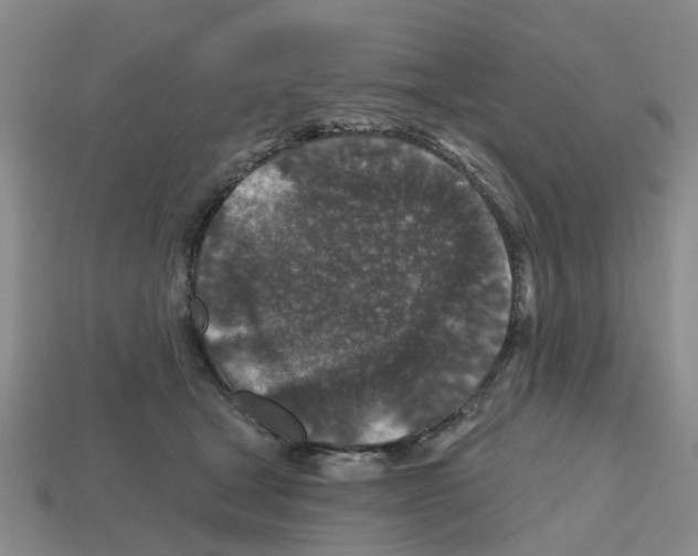 X0000112800465200910021123
