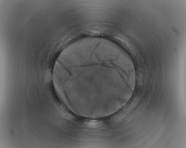 X0000112800467200910021123