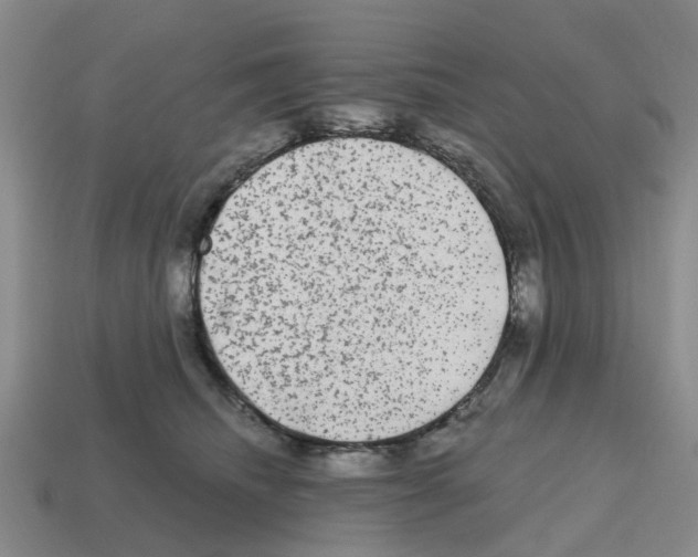 X0000112800468200910021123
