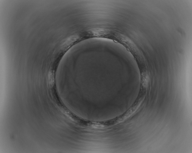 X0000112800471200910021123