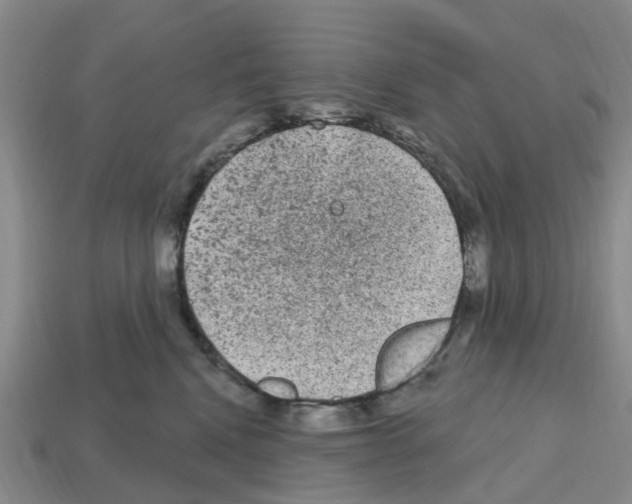 X0000112800472200910021123