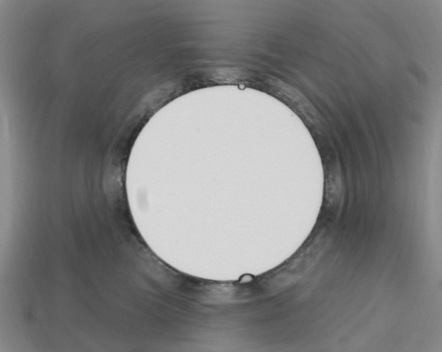 X0000112800473200910021123