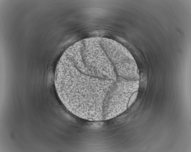 X0000112800474200910021123
