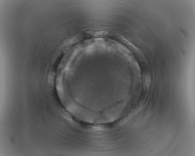 X0000112800475200910021123