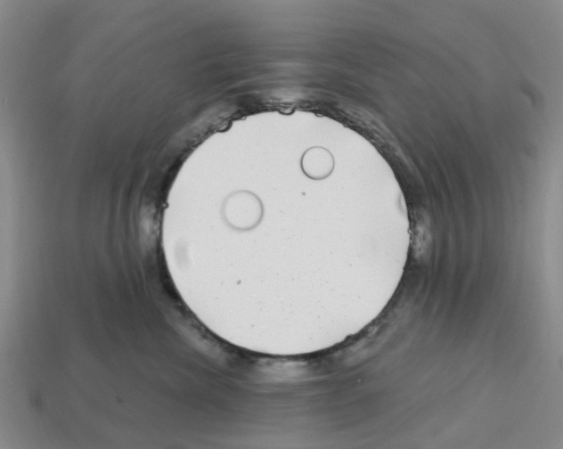 X0000112800476200910021123