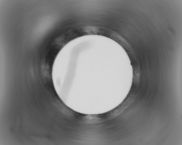 X0000112800477200910021123