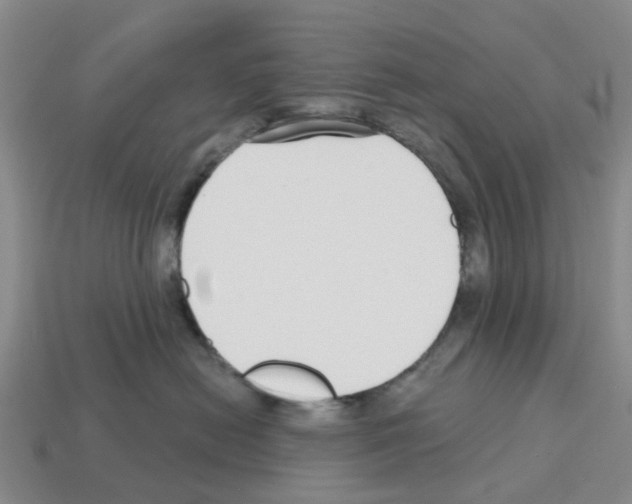 X0000112800478200910021124