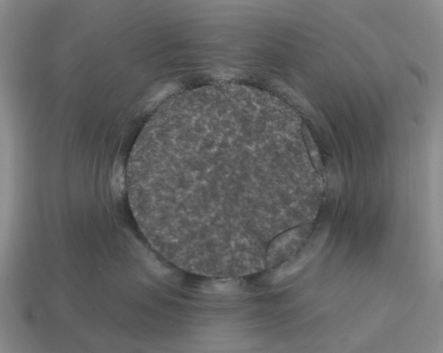 X0000112800479200910021124