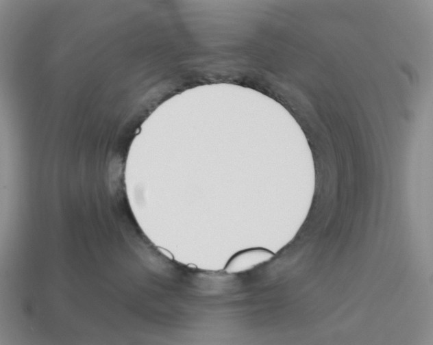 X0000112800480200910021124