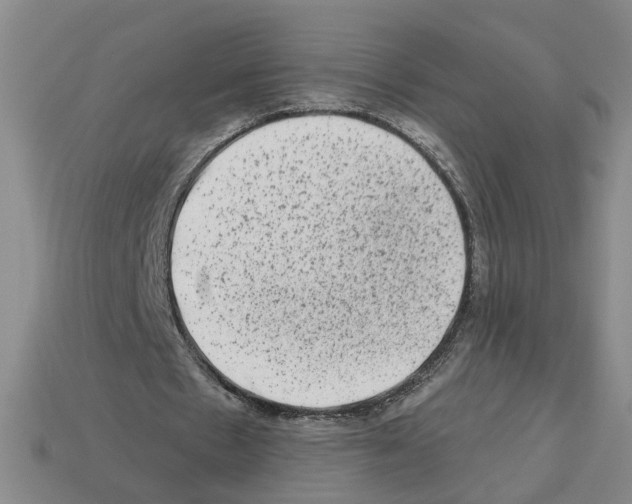 X0000112800481200910021123